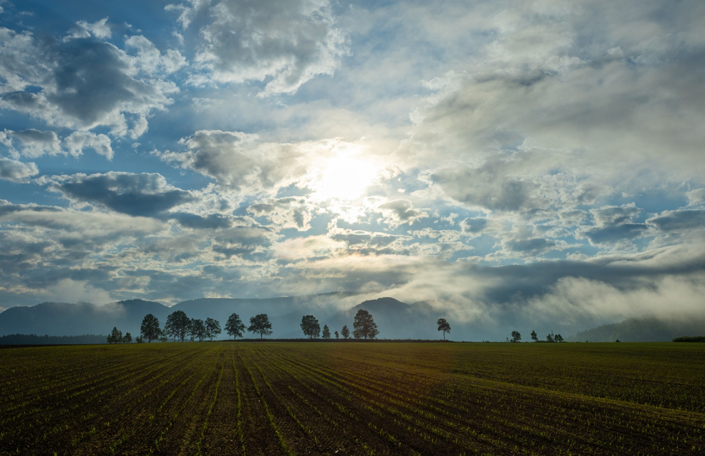 空の広さを感じる畑