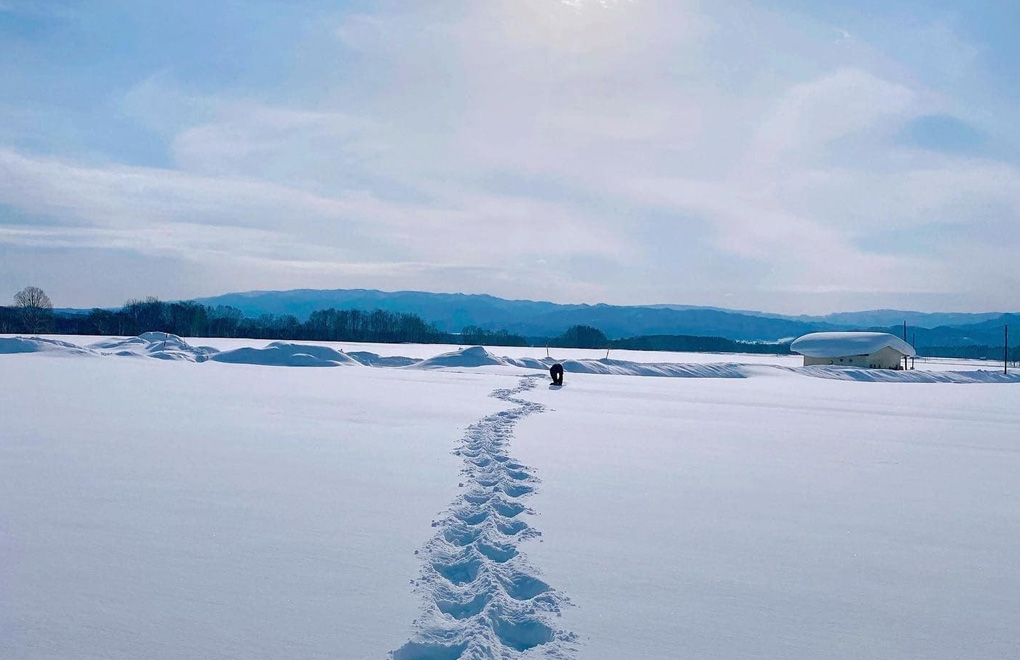 冬がつくる静かな景色