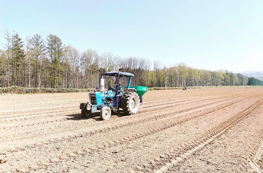 畑づくりの風景