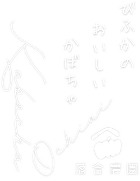 北海道美深町で甘く濃厚なかぼちゃを育てる落合農園