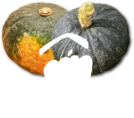 かぼちゃとロゴ
