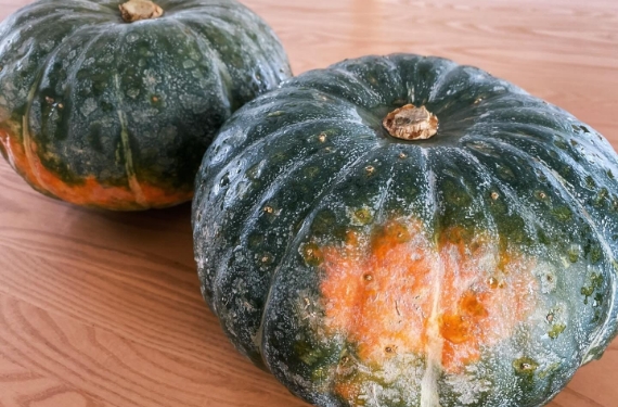 くりゆたかセブン